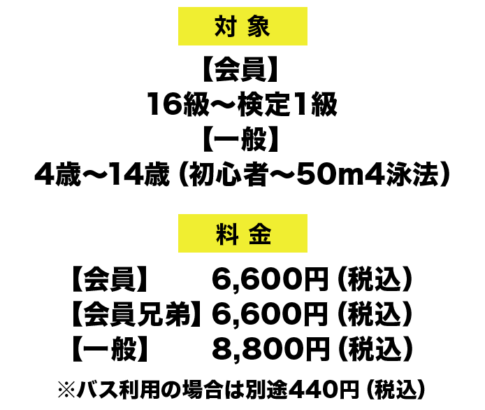 スイミングスクール 夏休み短期水泳教室