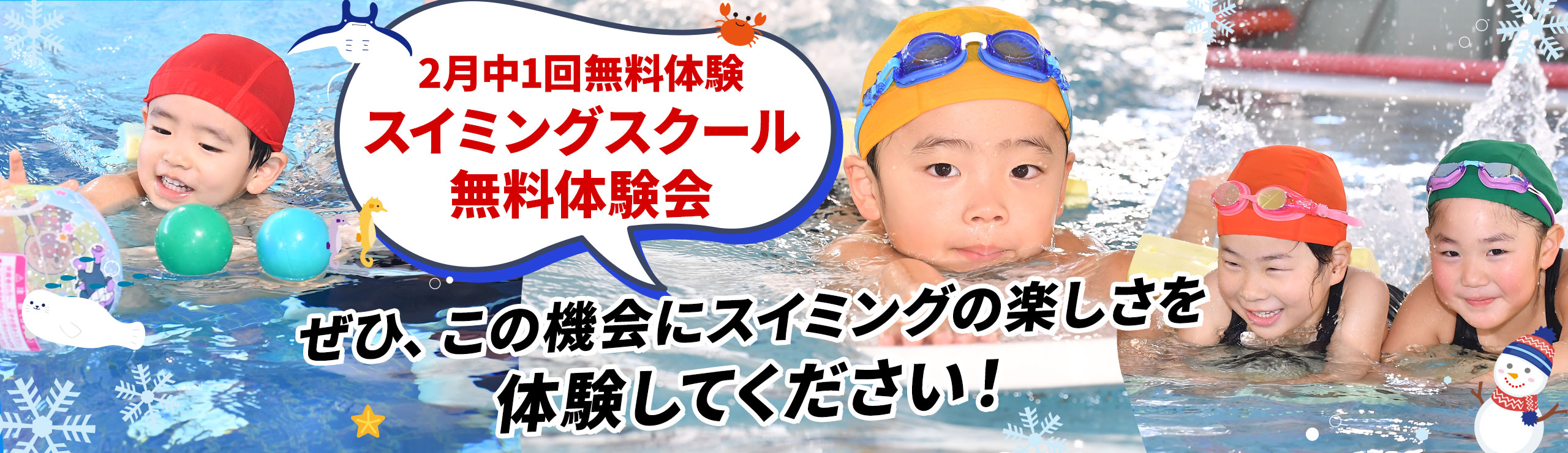 柏洋スイマーズ　2026年2月無料体験会
