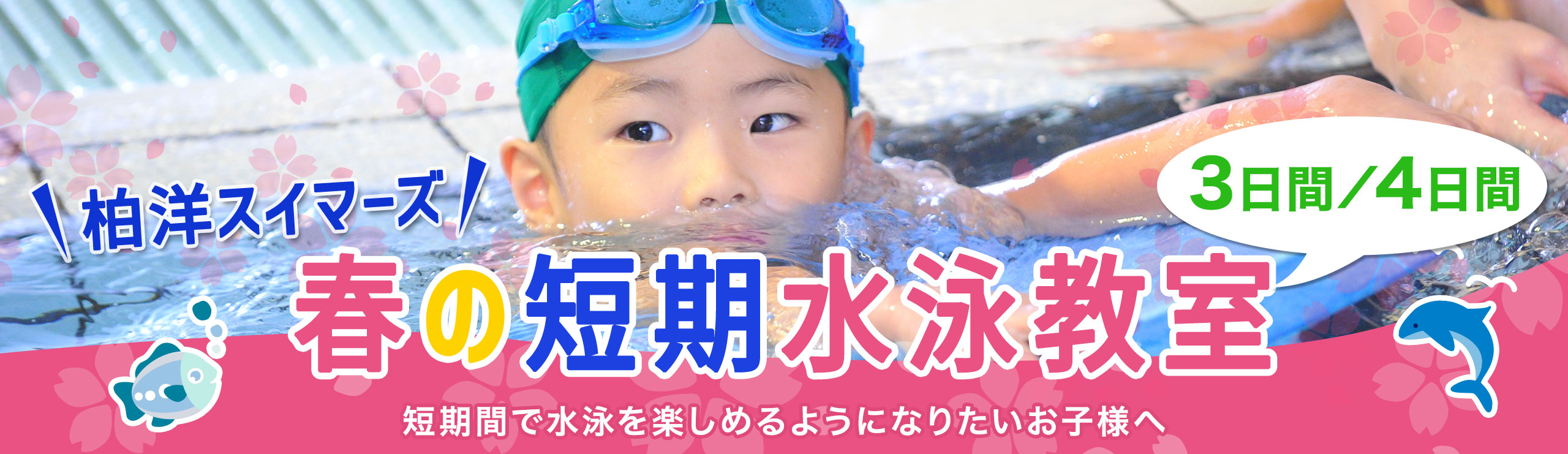 柏洋スイマーズ　短期水泳教室（春休み）