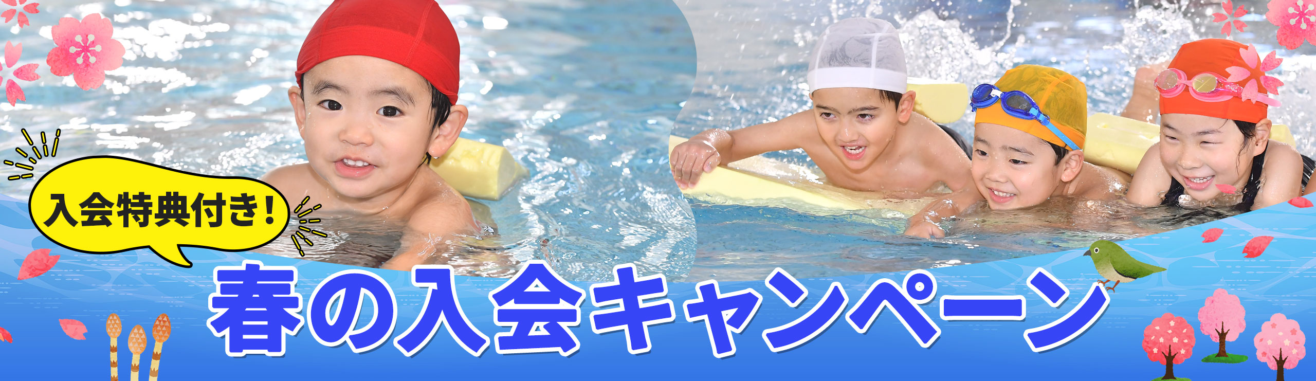 柏洋スイマーズ　2026年春の入会キャンペーン